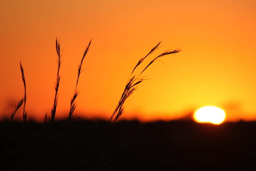Kruger National Park - 5 Day Safari Tour - Key things to know before you go
