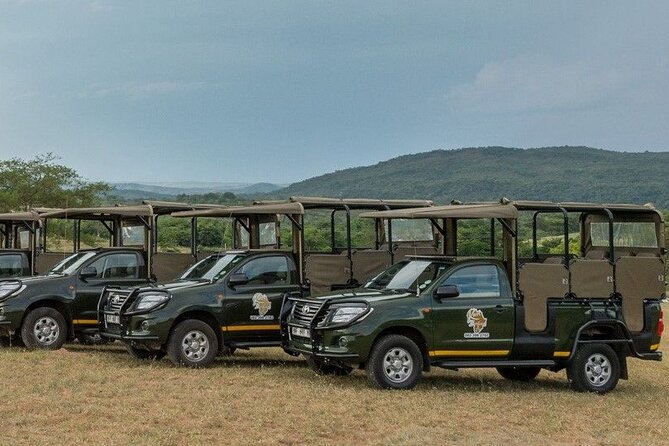 Kruger National Park Afternoon Private safari - The Big Five Odds and the Best Kinds of Sightings