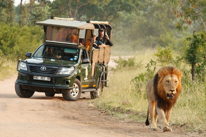 Kruger National Park Afternoon Private safari - Your Private Vehicle and Group Size (Up to 10)