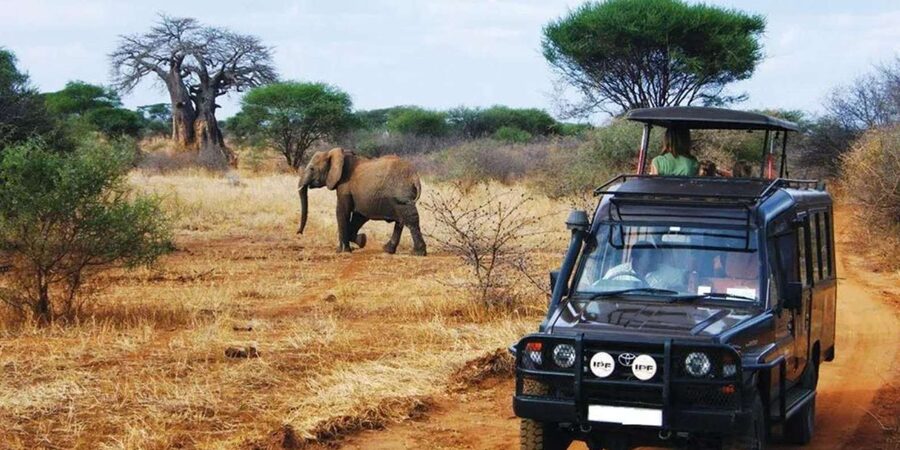 Kruger National Park & Blyde River Canyon 4 Day Safari - A 4-day loop from Johannesburg to Kruger and back