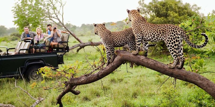 Kruger National Park & Blyde River Canyon 4 Day Safari - Blyde River Canyon day: God’s Window, Three Rondavels, Bourke’s Potholes