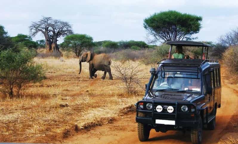 Kruger National Park & Blyde River Canyon 4 Day Safari - Price and value: what $1,435 covers, and what you should check