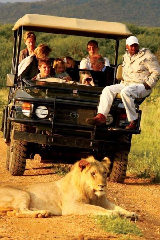 Kruger National Park & Blyde River Canyon 4 Day Safari - Should you book Kruger National Park and Blyde River Canyon?