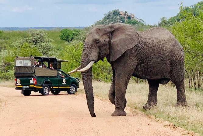 Kruger National Park Full Day Private safari - Key Things You’ll Notice Right Away