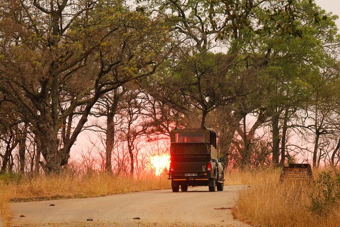 Kruger National Park Full Day Private safari - Lunch at a Rest Camp Restaurant, and Why It’s Part of the Plan
