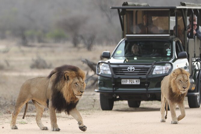Kruger National Park Full Day Private safari - What’s Included, What Isn’t, and How to Avoid Surprise Costs