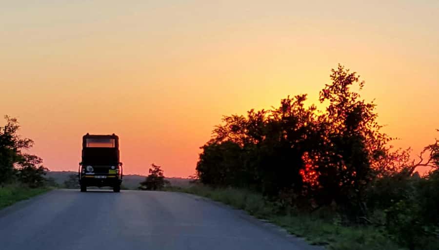 Kruger National Park: Full-Day Private Safari With Pickup - Early mornings in Kruger: why your guide pushes you out the door
