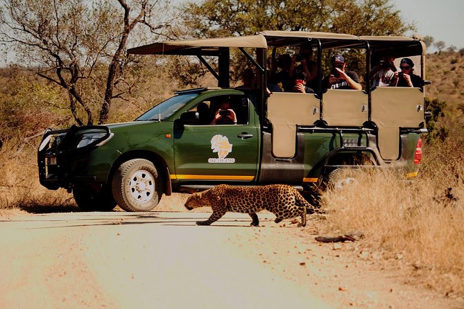 Kruger National Park Full Day Private safari - The First Break: Breakfast Packs and Rest Camp Stops