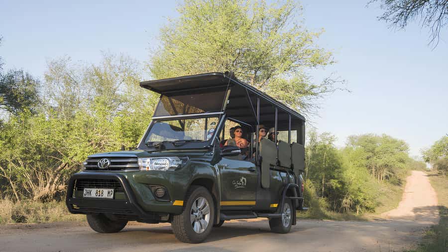 Kruger National Park Game Drive (Half-Day PM) - Key things that make this half-day PM Kruger drive special