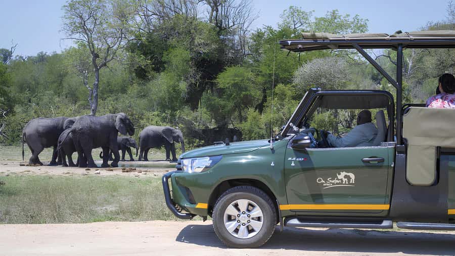 Kruger National Park Game Drive (Half-Day PM) - Why a half-day PM Kruger drive is a smart use of your time