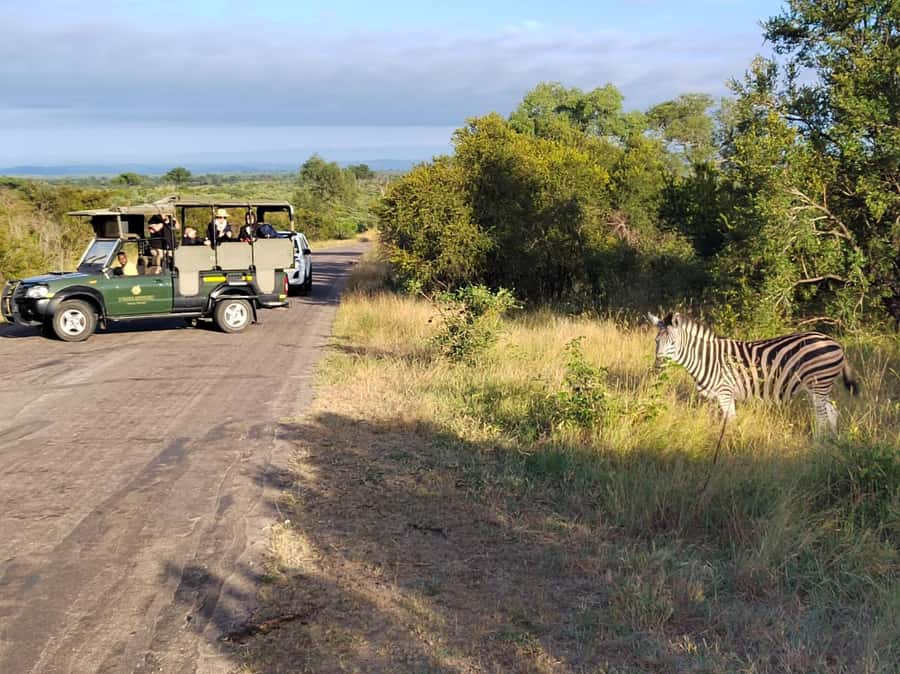 Kruger National Park half day - Why Phabeni Gate and a sunrise start matter