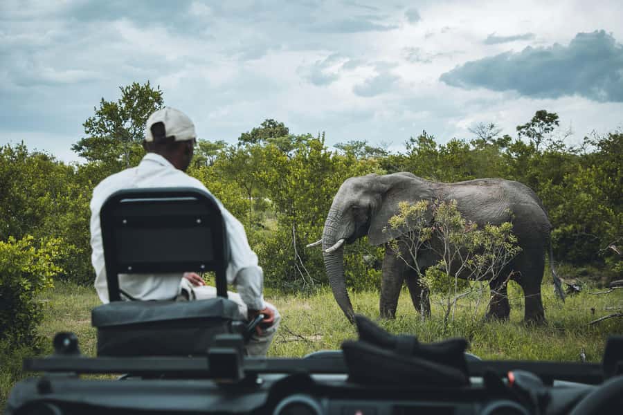 Kruger National Park half day - After lunch: why the quieter routes can pay off