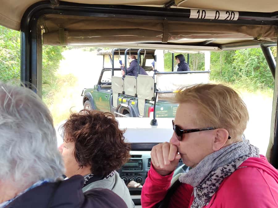 Kruger National Park half day - From Hazyview pickup to the open safari game drive