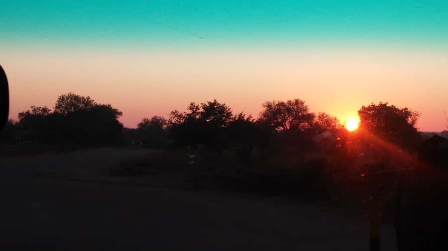 Kruger National Park Morning Safari - What Your Guide Covers: From Species Counts to Animal Behavior