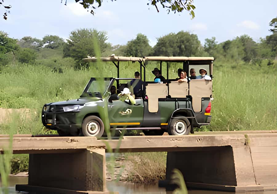 Kruger National Park Safari (Full Day) - Starting from Hazyview: pickup that sets the tone