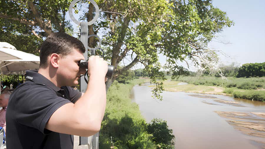 Kruger National Park Safari (Full Day) - The smaller wildlife and birdlife you’ll notice with good time