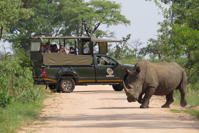 Kruger National Park sunrise Morning Private safari - Key highlights you should know before you go