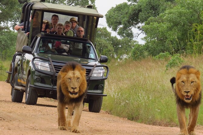Kruger National Park sunrise Morning Private safari - From Hazyview pickup to your first sightings inside the park