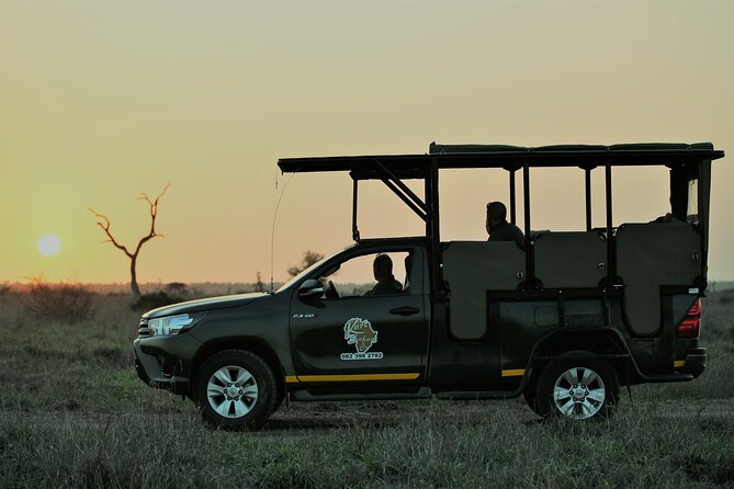 Kruger National Park sunrise Morning Private safari - Price and logistics: is $131.13 good value?