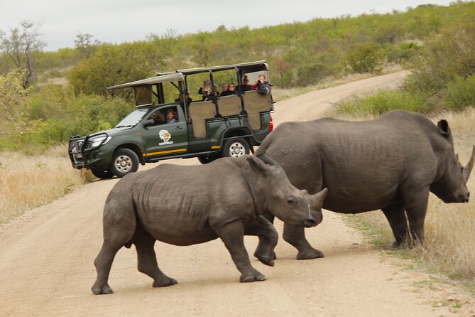Kruger National Park sunrise Morning Private safari - Should you book this Kruger sunrise private safari?