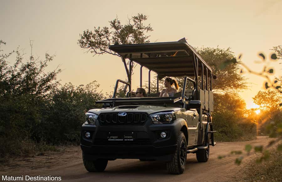 Kruger Park Full Day Safari From Hoedspruit - Hoedspruit Pickup at Rhino Convention Centre, Then Straight Into the Bush