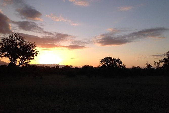 Kruger Park Safari: Guided Day Tour from Nelspruit - Guides make the difference, and you’ll feel it in the stops