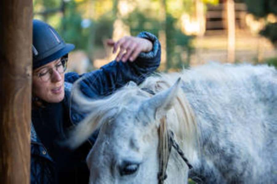 Kudu Trail Horse Riding Experience - Key things to know before you saddle up