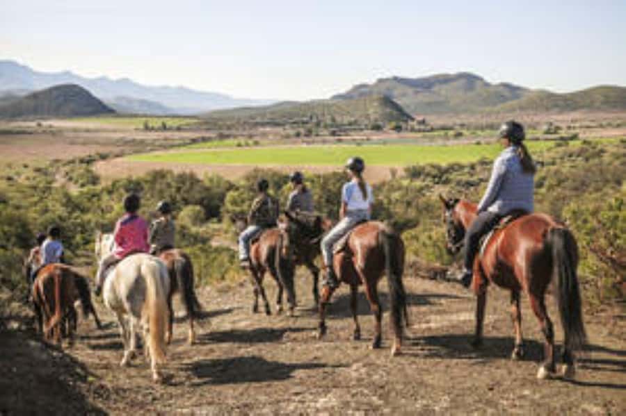 Kudu Trail Horse Riding Experience - A 90-minute ride through the Klein Karoo near Oudtshoorn