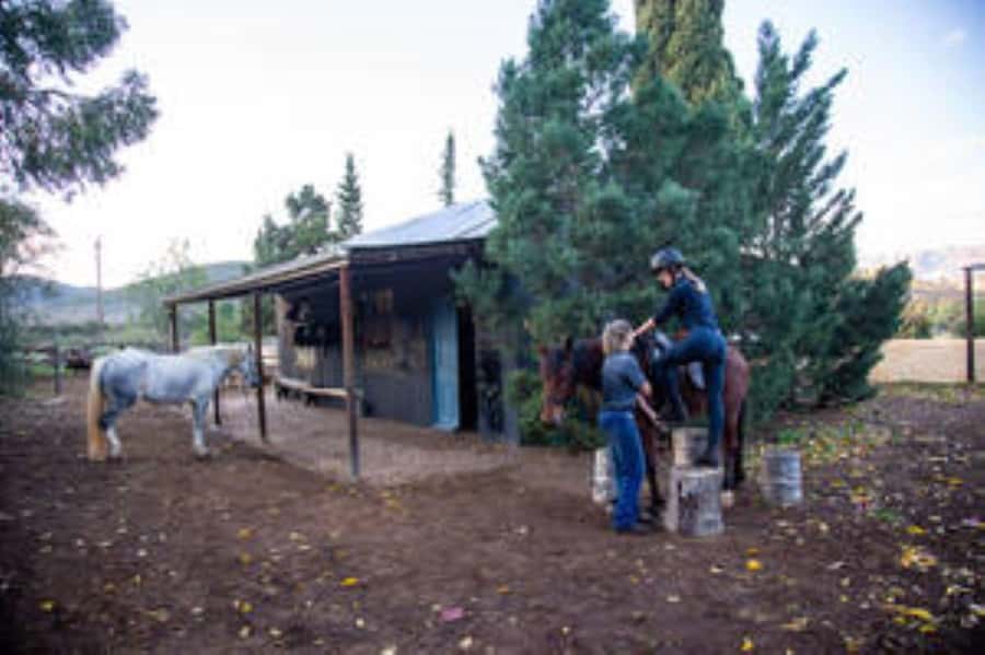 Kudu Trail Horse Riding Experience - What the Kudu Trail ride actually feels like (jeep tracks to game paths)