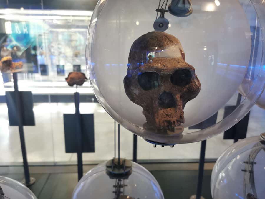 Lesedi Cultural Village, Sterkfontein Caves or Maropeng Mus - The Culture Shop and Lunch: Where the Day Becomes More Personal