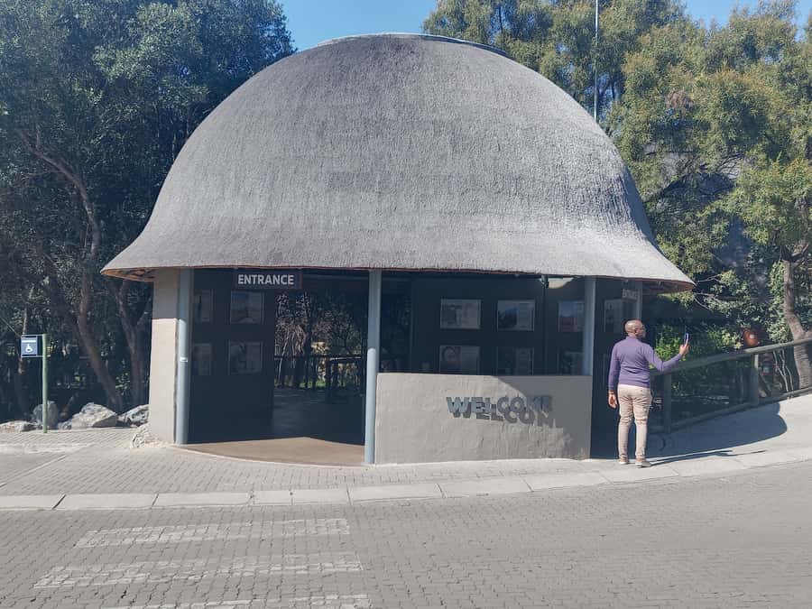 Lion park - A day schedule that makes sense for a half-day safari
