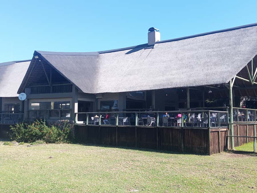 Lion park - Small-group guiding with English and French