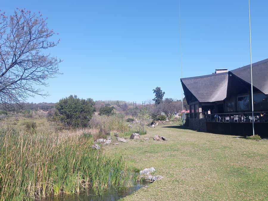 Lion park - Price and value: what you’re paying for at $183 per person