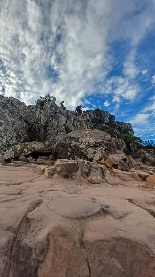 Lion's Head: Hike with a registered hiking guide - The descent: a slower pace plus city, wildlife, and plant talk