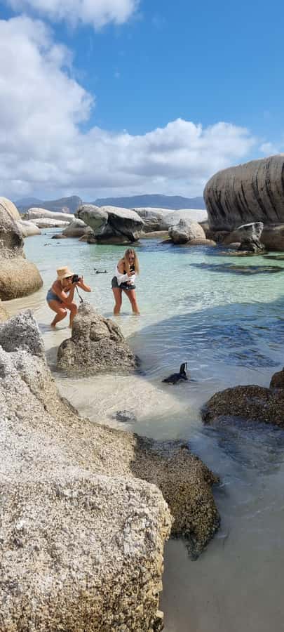 Luxury Cape of Good Hope & Penguin Tour - Riding in comfort: why the Jeep or SUV setup matters