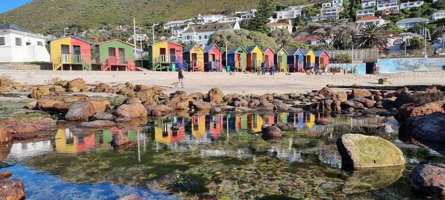 Luxury Cape of Good Hope & Penguin Tour - Boulders Penguin Colony: seeing African penguins on their home turf