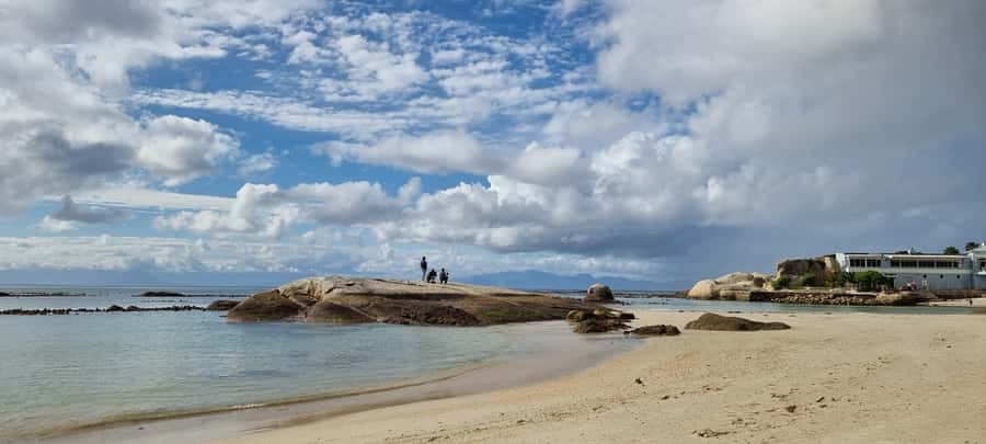 Luxury Cape of Good Hope & Penguin Tour - Gin, cocktails, and wine tastings: a fun break from pure sightseeing