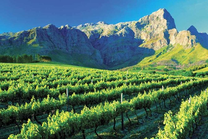 Luxury Wine Tour with Lunch - Getting picked up in Cape Town, and why the drive matters