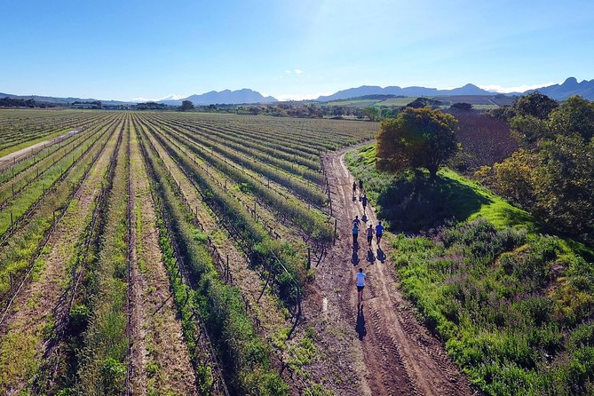 Luxury Wine Tour with Lunch - Helshoogte drive: the scenic link between Franschhoek and Stellenbosch