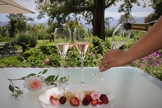 Luxury Wine Tour with Lunch - Stellenbosch tasting plus a platter with mountain views