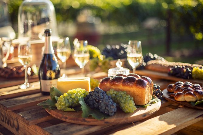 Luxury Wine Tour with Lunch - Somerset West and Cheetah Outreach: conservation adds meaning