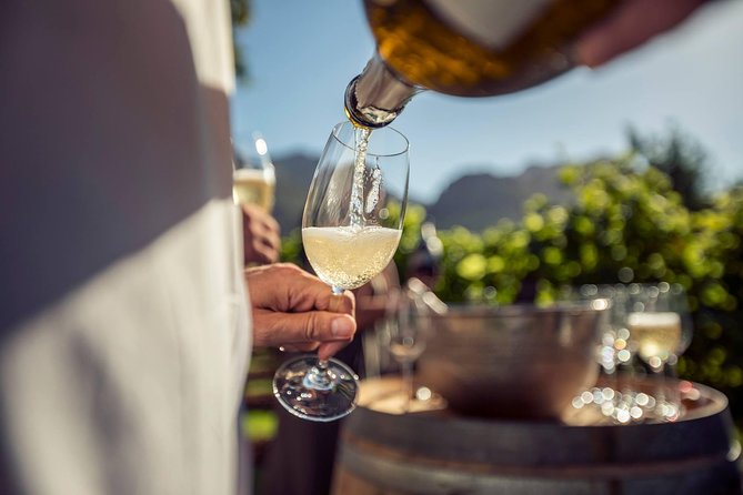 Luxury Wine Tour with Lunch - Stop in Paarl: cheese and wine at a popular farm