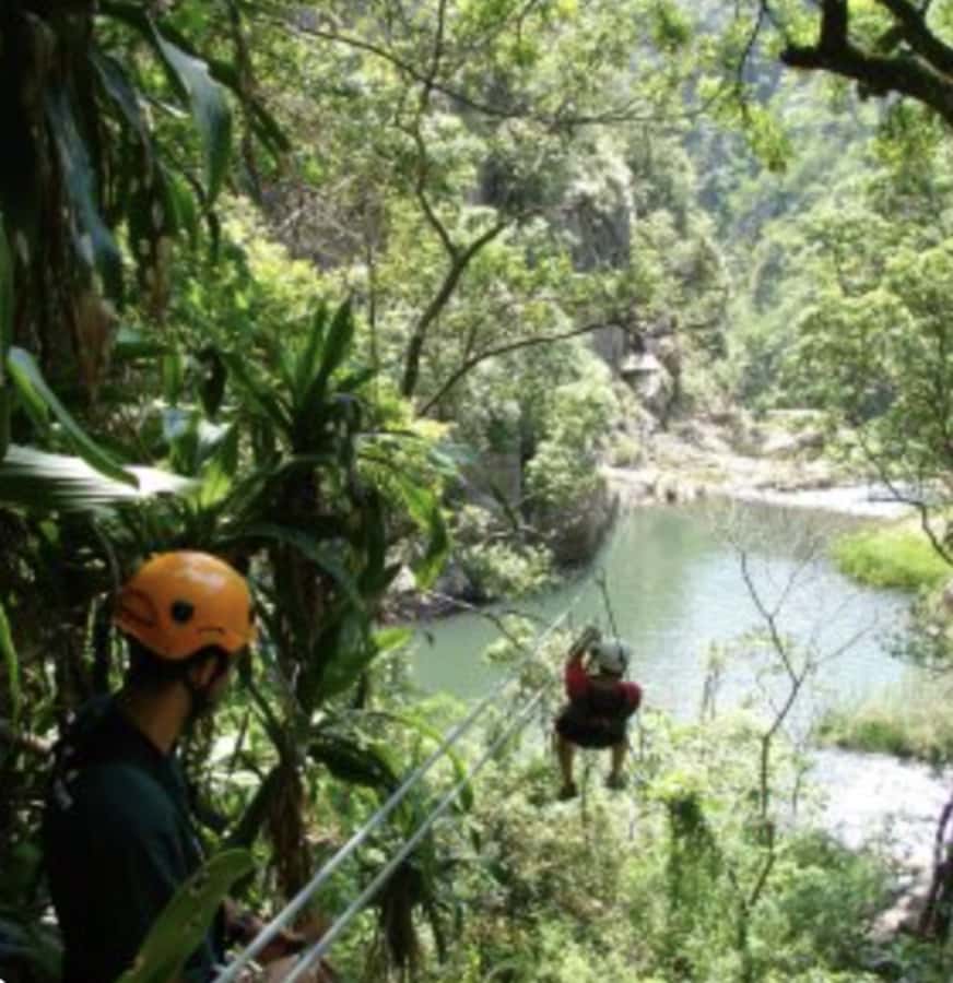 Magoebaskloof Adventures: 2H Canopy Tour - Why Magoebaskloof Canopy Tour Feels Different in Limpopo