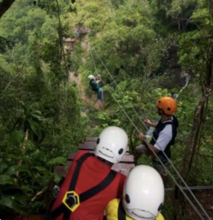 Magoebaskloof Adventures: 2H Canopy Tour - Who This Canopy Tour Fits Best (and Who Should Skip)
