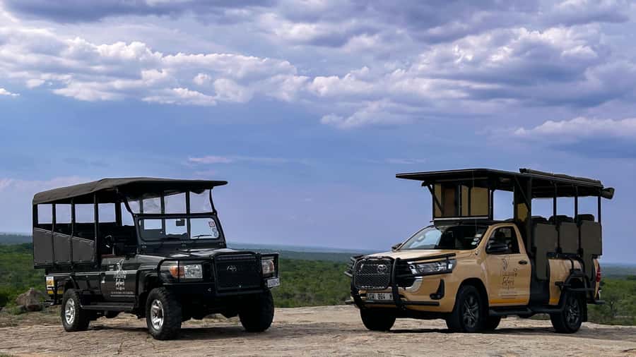 Malelane & Komatipoort: Kruger National Park Half-Day Safari - The timeline: pickup, park entry, and that long stretch of looking