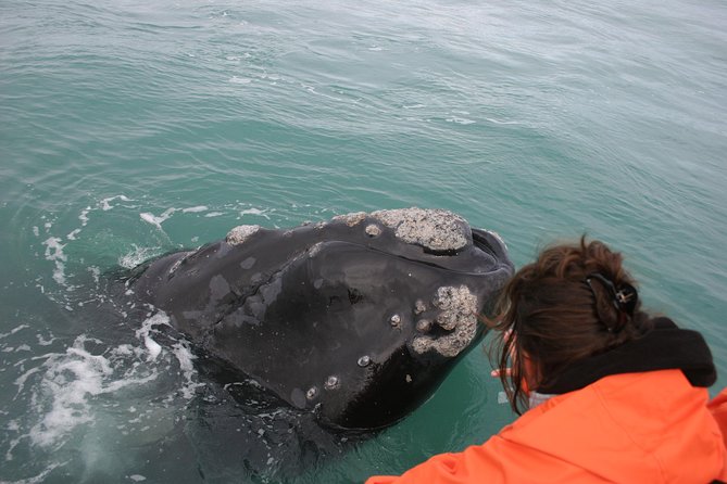Marine Big 5 Safari: Self-Drive - Key points to know before you go