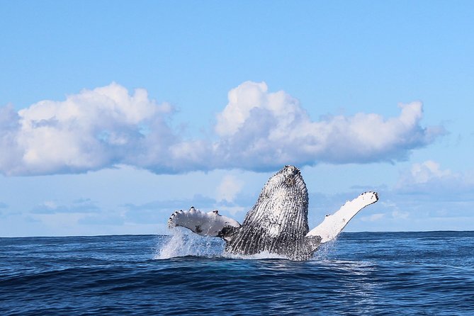 Marine Big 5 Safari: Self-Drive - Great White House Restaurant in Gansbaai, where the day begins