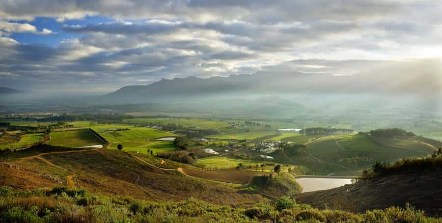 Marine Eco Cruise and Half-Day Wine Route with Tastings - Stellenbosch City Orientation: Dorp Street, De Braak, and a Real Walk