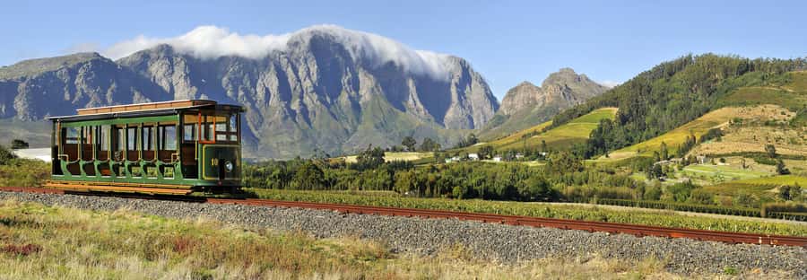 Marine Eco Cruise and Half-Day Wine Route with Tastings - Who This Tour Fits Best (And Who Might Want Something Different)