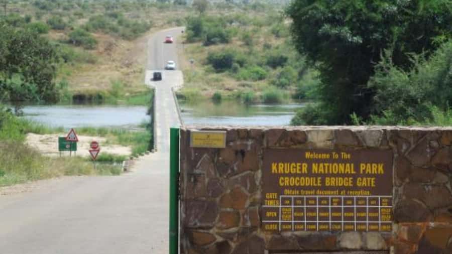 Marloth Park: Bush Braai Dinner & Game Drive in Kruger Park - Key takeaways